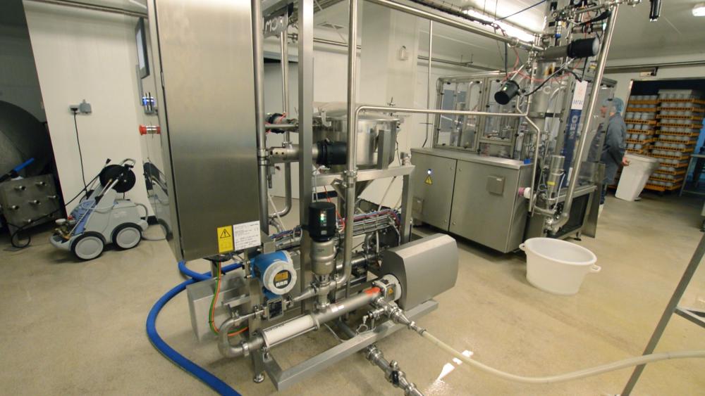 Dairy references Dosyfruit